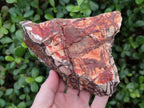 Natural Nguni Jasper Cobbed Specimens x 3 From Northern Cape, South Africa - Toprock Gemstones and Minerals 