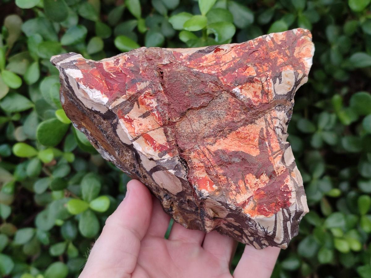 Natural Nguni Jasper Cobbed Specimens x 3 From Northern Cape, South Africa - Toprock Gemstones and Minerals 