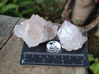 Natural Cactus Flower Spirit Quartz Crystals x 12 From Boekenhouthoek, South Africa - Toprock Gemstones and Minerals 