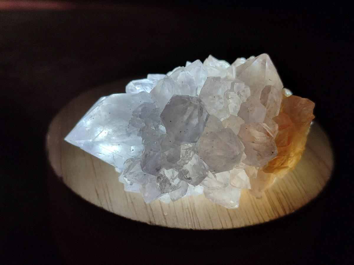 Natural Cactus Flower Spirit Quartz Crystals x 12 From Boekenhouthoek, South Africa - Toprock Gemstones and Minerals 
