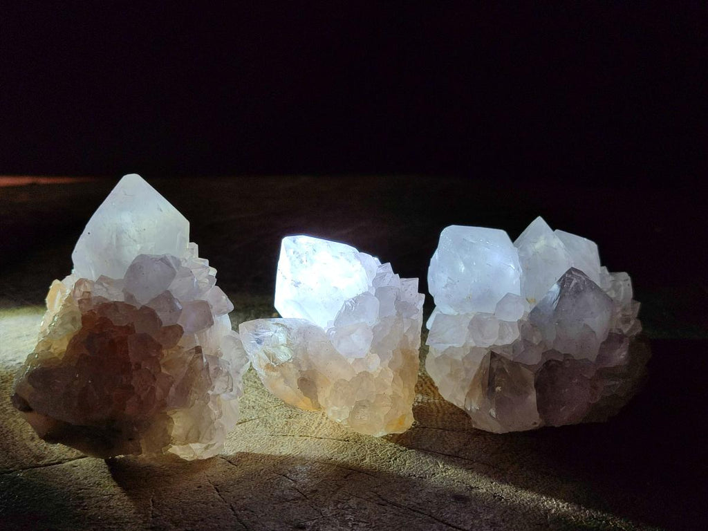Natural Cactus Flower Spirit Quartz Crystals x 12 From Boekenhouthoek, South Africa - Toprock Gemstones and Minerals 
