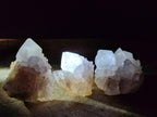 Natural Cactus Flower Spirit Quartz Crystals x 12 From Boekenhouthoek, South Africa - Toprock Gemstones and Minerals 