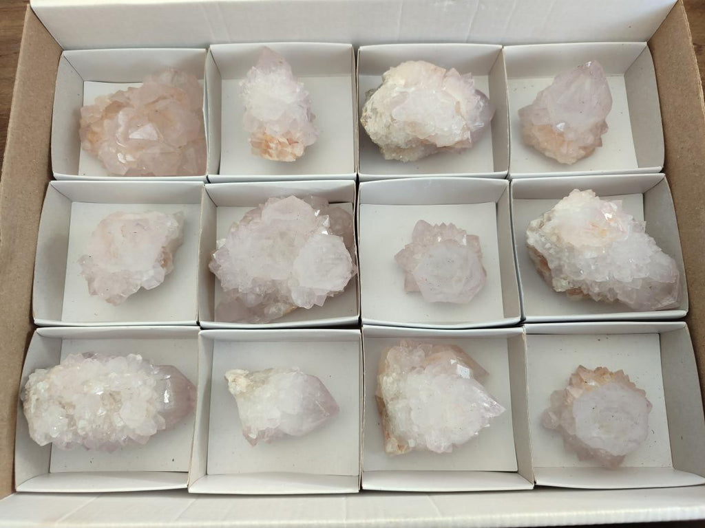 Natural Cactus Flower Spirit Quartz Crystals x 12 From Boekenhouthoek, South Africa - Toprock Gemstones and Minerals 