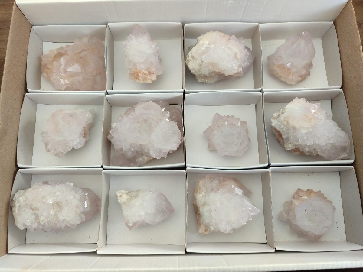 Natural Cactus Flower Spirit Quartz Crystals x 12 From Boekenhouthoek, South Africa - Toprock Gemstones and Minerals 