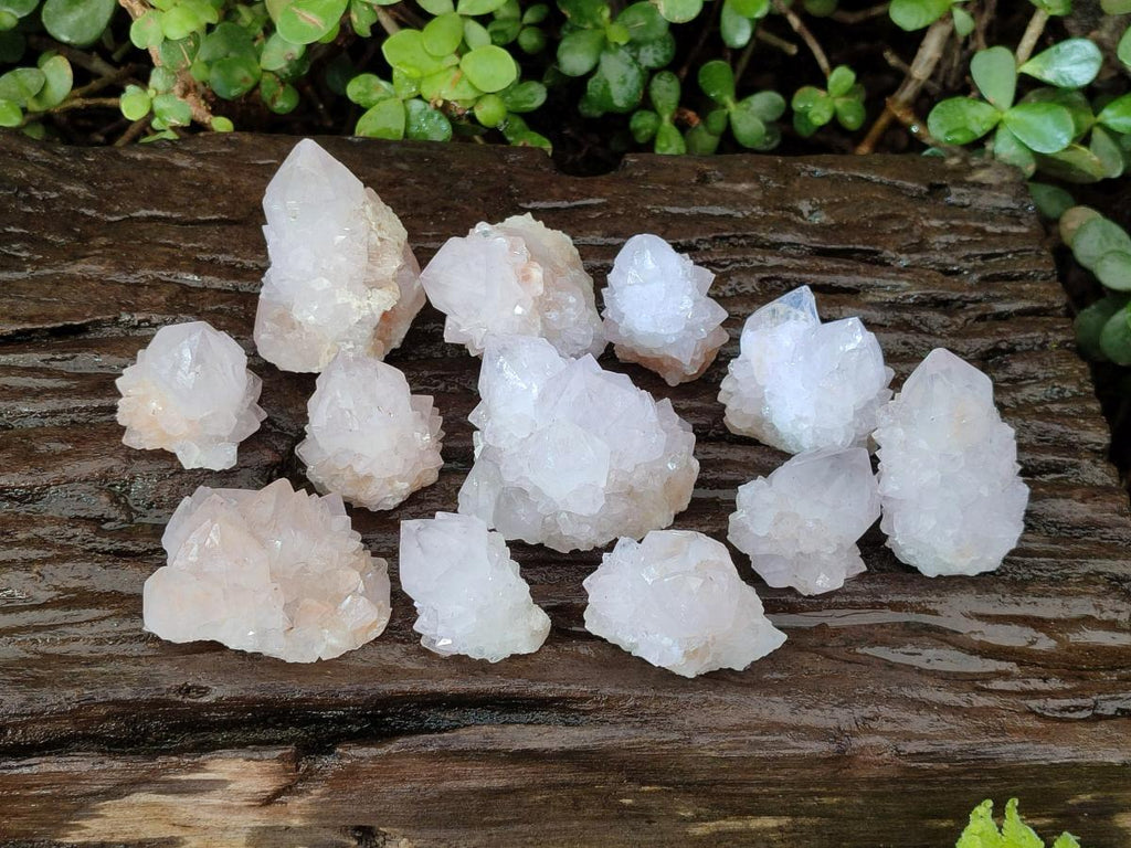 Natural Cactus Flower Spirit Quartz Crystals x 12 From Boekenhouthoek, South Africa - Toprock Gemstones and Minerals 