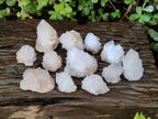 Natural Cactus Flower Spirit Quartz Crystals x 12 From Boekenhouthoek, South Africa - Toprock Gemstones and Minerals 