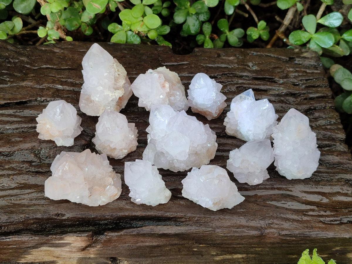 Natural Cactus Flower Spirit Quartz Crystals x 12 From Boekenhouthoek, South Africa - Toprock Gemstones and Minerals 