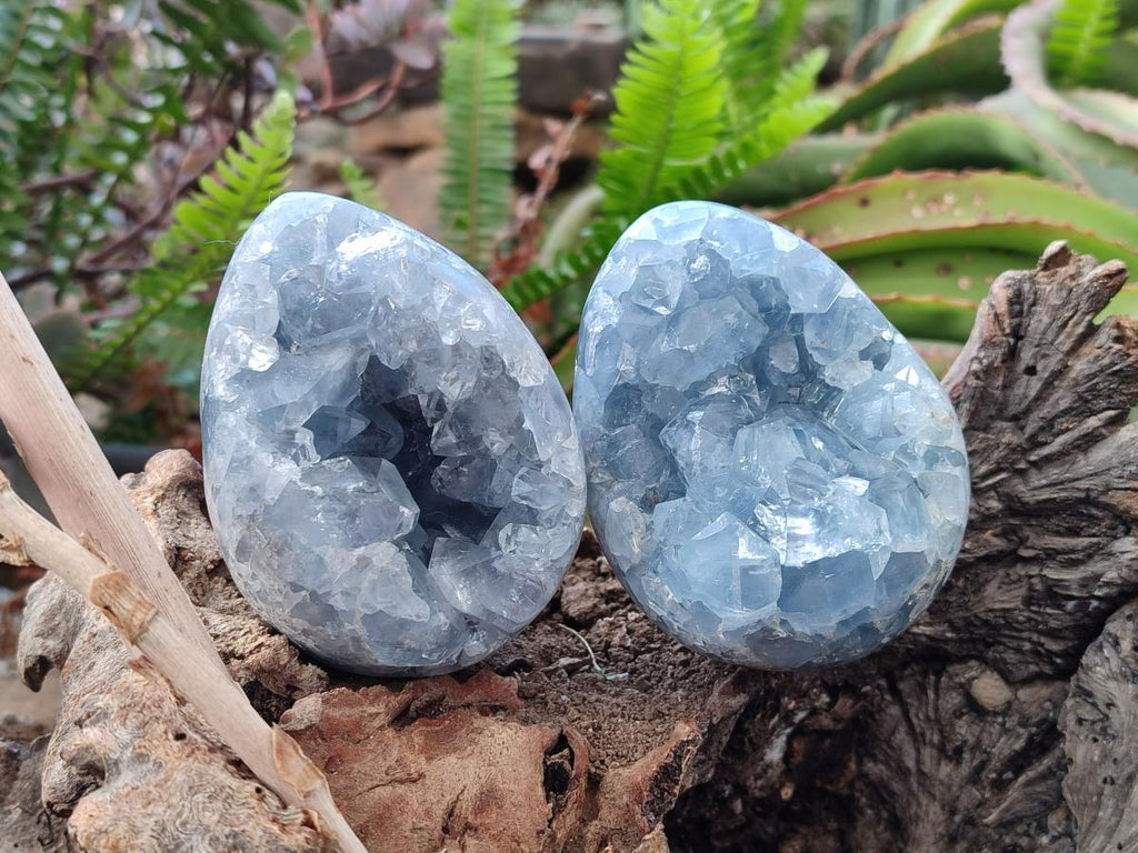 Polished and Natural Blue Celestite Eggs x 3 From Sakoany, Madagascar - Toprock Gemstones and Minerals 