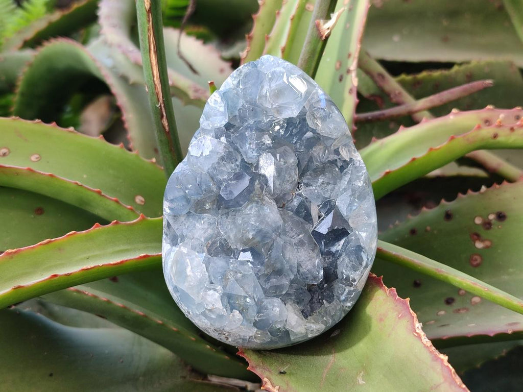 Polished and Natural Blue Celestite Eggs x 3 From Sakoany, Madagascar - Toprock Gemstones and Minerals 