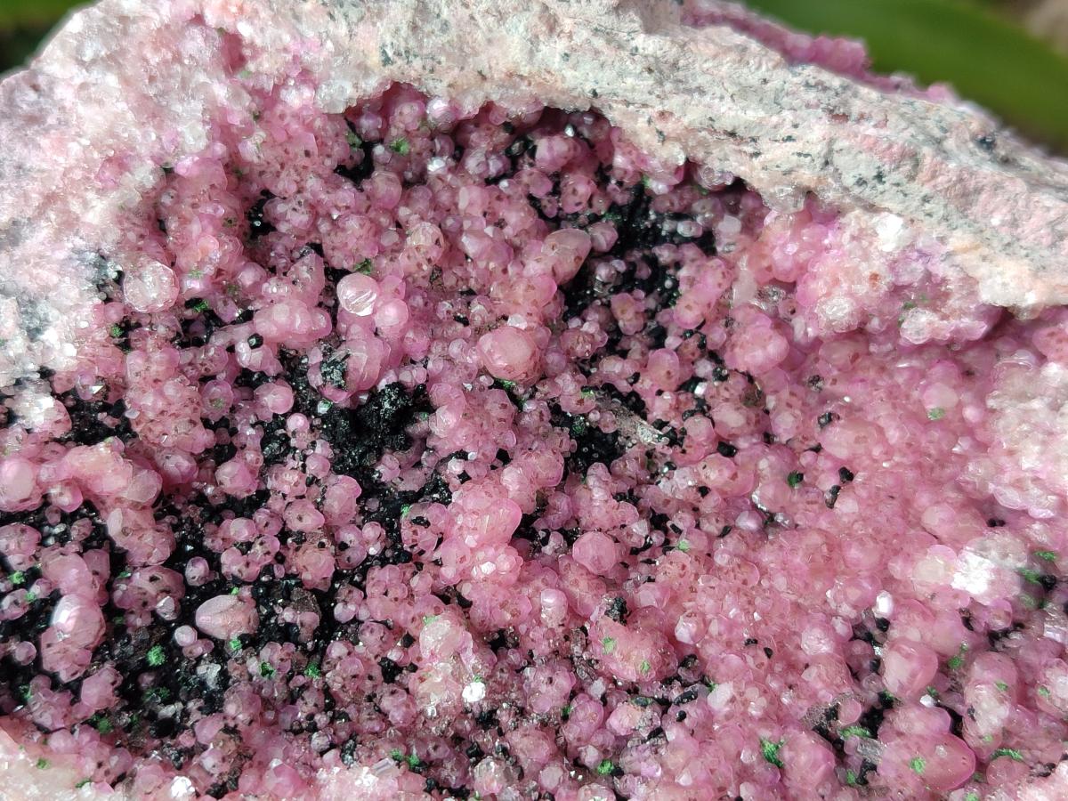 Natural Large Cabinet Size Spherocobaltite Specimen with Heterogenite x 1 From Musonoi Mine, Congo - Toprock Gemstones and Minerals 