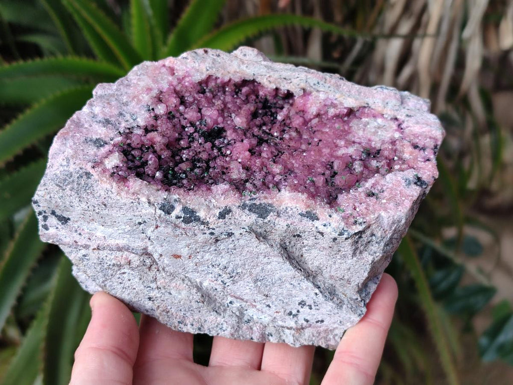 Natural Large Cabinet Size Spherocobaltite Specimen with Heterogenite x 1 From Musonoi Mine, Congo - Toprock Gemstones and Minerals 