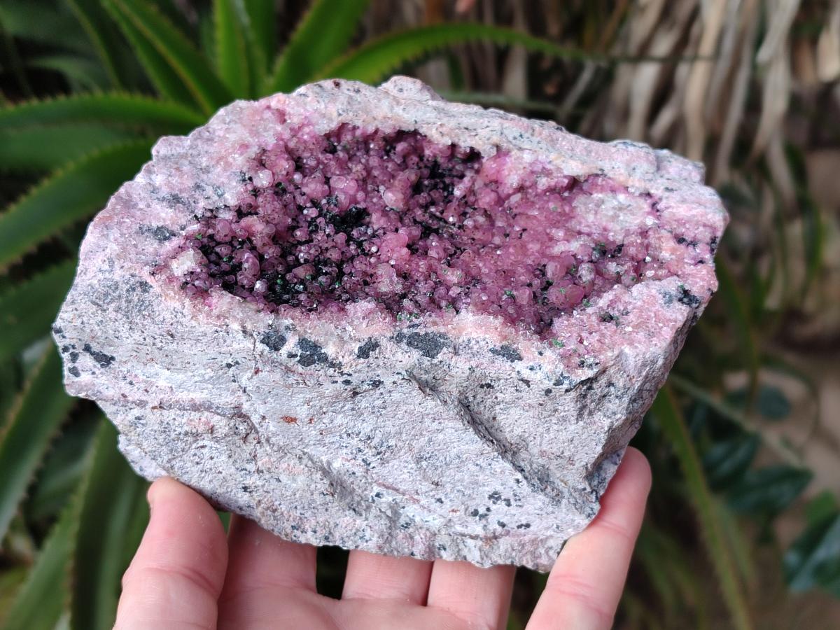 Natural Large Cabinet Size Spherocobaltite Specimen with Heterogenite x 1 From Musonoi Mine, Congo - Toprock Gemstones and Minerals 