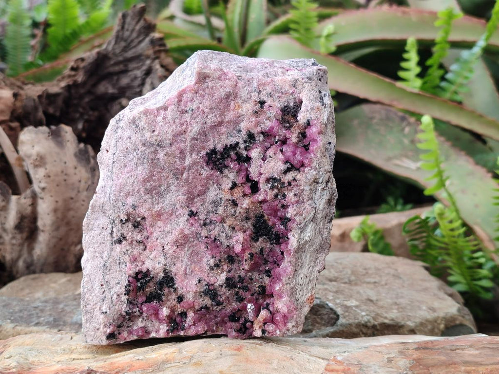 Natural Large Cabinet Size Spherocobaltite Specimen with Heterogenite x 1 From Musonoi Mine, Congo - Toprock Gemstones and Minerals 