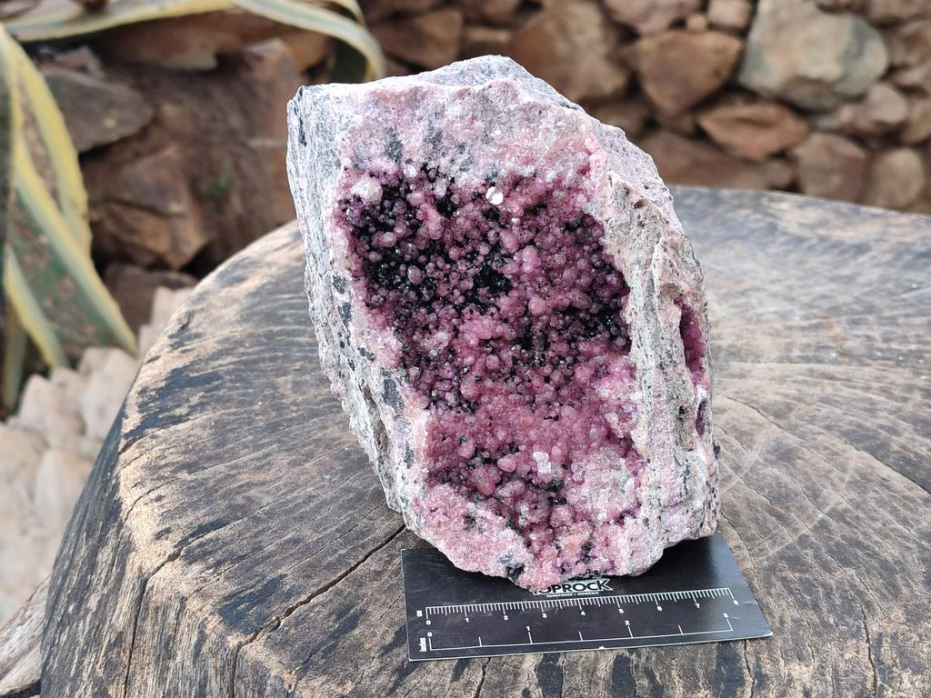 Natural Large Cabinet Size Spherocobaltite Specimen with Heterogenite x 1 From Musonoi Mine, Congo - Toprock Gemstones and Minerals 