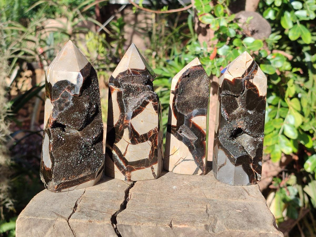 Polished and Natural Septerye Sauvage Display Crystals x 4 From Mahajanga, Madagascar - Toprock Gemstones and Minerals 