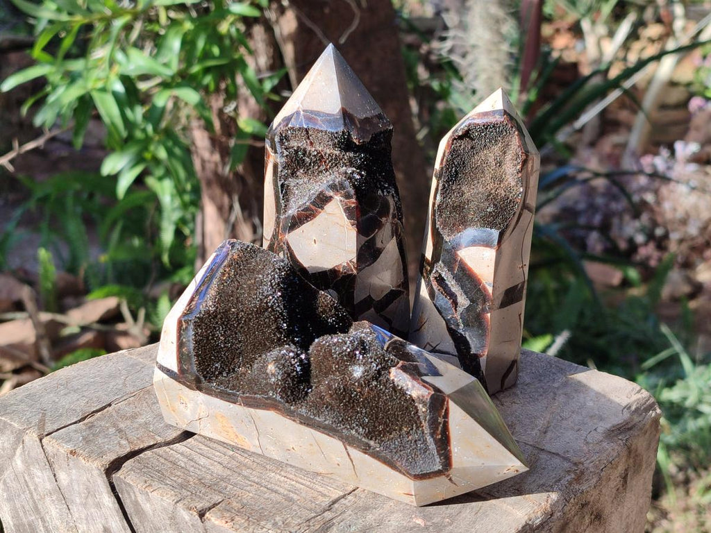 Polished and Natural Septerye Sauvage Display Crystals x 4 From Mahajanga, Madagascar - Toprock Gemstones and Minerals 