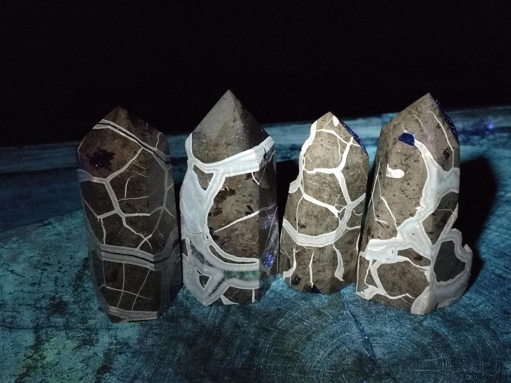 Polished and Natural Septerye Sauvage Display Crystals x 4 From Mahajanga, Madagascar - Toprock Gemstones and Minerals 