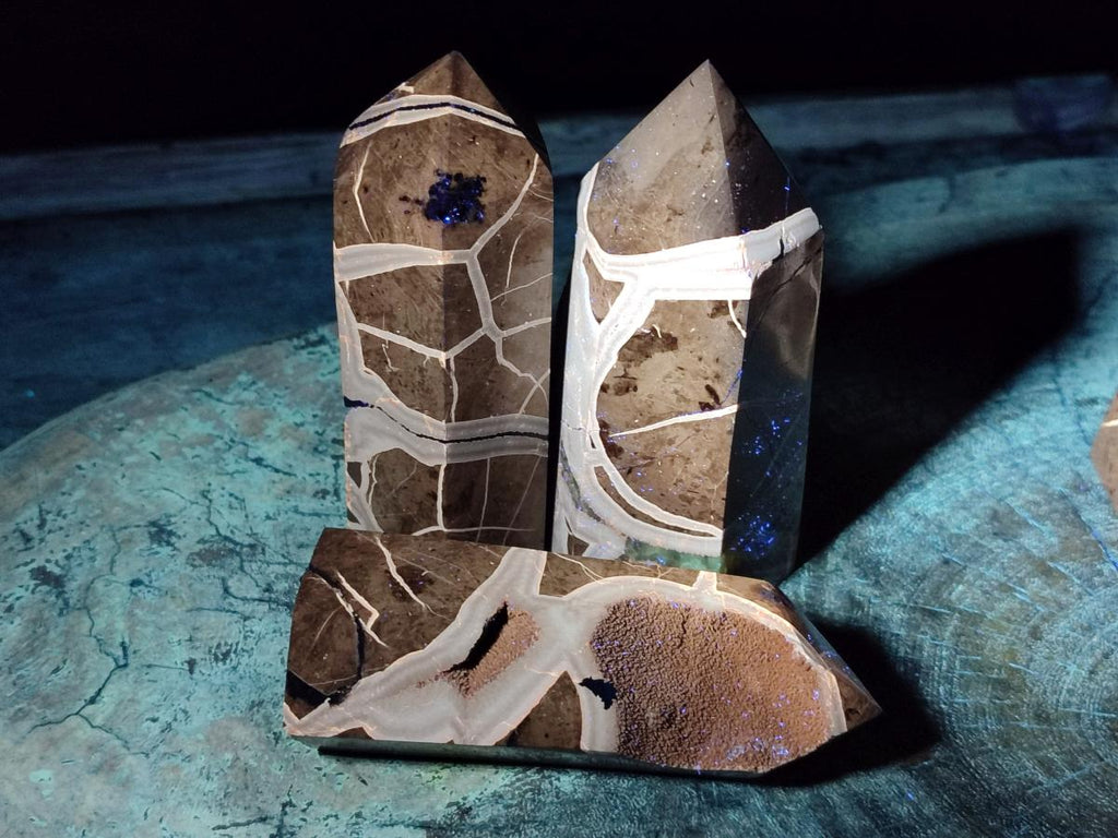 Polished and Natural Septerye Sauvage Display Crystals x 4 From Mahajanga, Madagascar - Toprock Gemstones and Minerals 