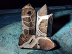 Polished and Natural Septerye Sauvage Display Crystals x 4 From Mahajanga, Madagascar - Toprock Gemstones and Minerals 