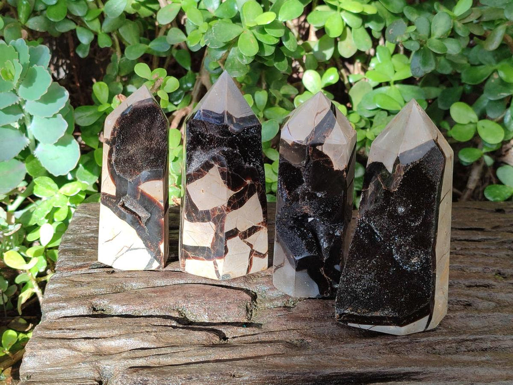 Polished and Natural Septerye Sauvage Display Crystals x 4 From Mahajanga, Madagascar - Toprock Gemstones and Minerals 