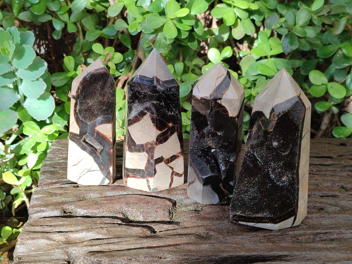 Polished and Natural Septerye Sauvage Display Crystals x 4 From Mahajanga, Madagascar - Toprock Gemstones and Minerals 