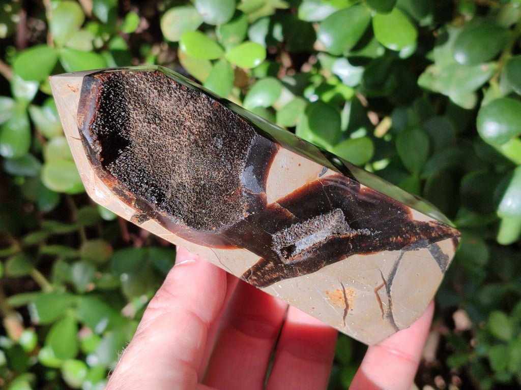 Polished and Natural Septerye Sauvage Display Crystals x 4 From Mahajanga, Madagascar - Toprock Gemstones and Minerals 
