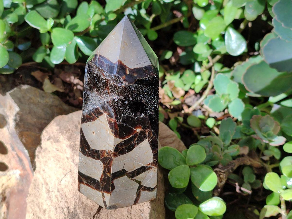 Polished and Natural Septerye Sauvage Display Crystals x 4 From Mahajanga, Madagascar - Toprock Gemstones and Minerals 