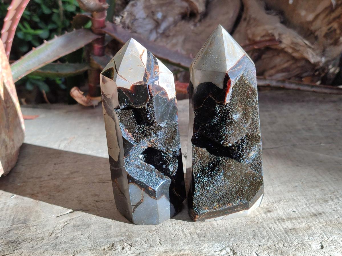 Polished and Natural Septerye Sauvage Display Crystals x 4 From Mahajanga, Madagascar - Toprock Gemstones and Minerals 