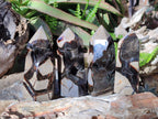 Polished and Natural Septerye Sauvage Display Crystals x 4 From Mahajanga, Madagascar - Toprock Gemstones and Minerals 