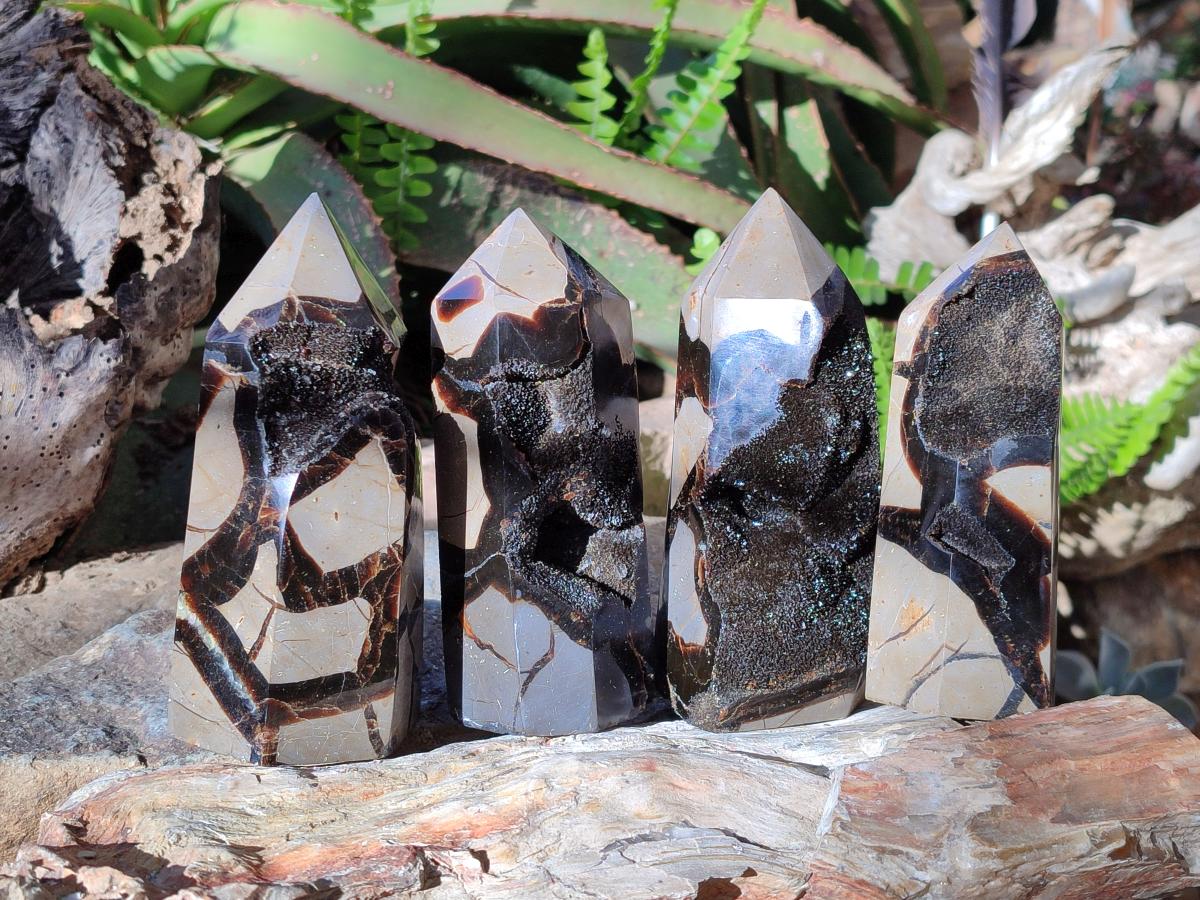 Polished and Natural Septerye Sauvage Display Crystals x 4 From Mahajanga, Madagascar - Toprock Gemstones and Minerals 
