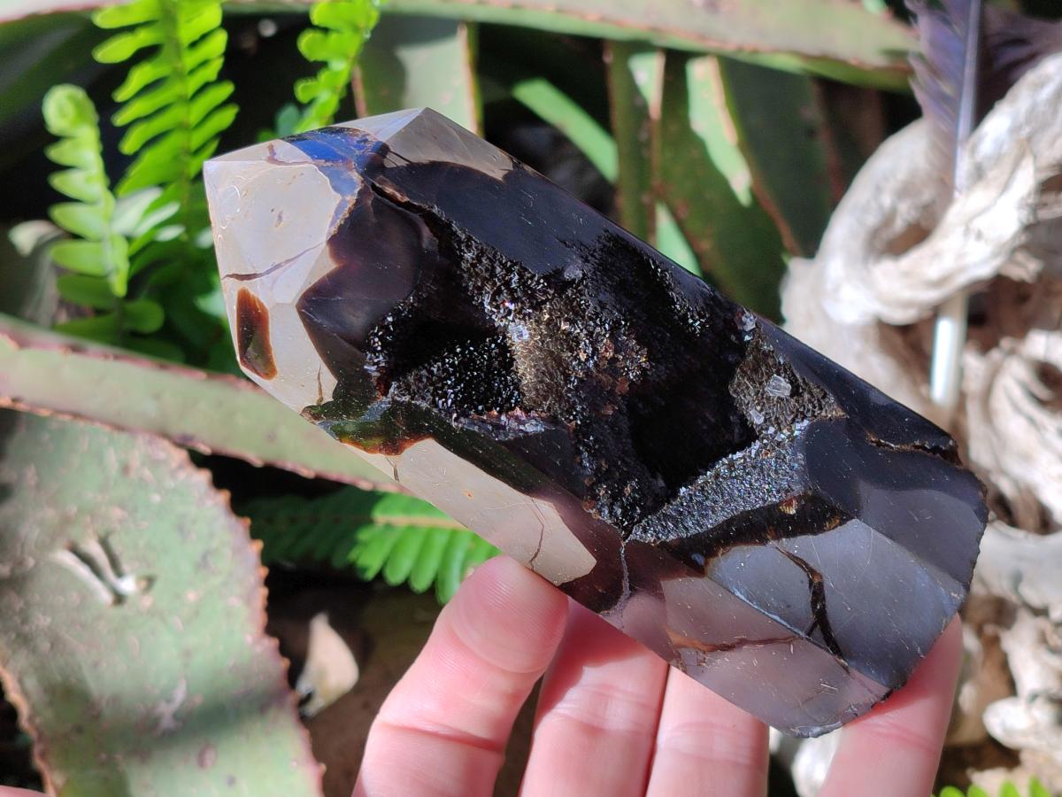 Polished and Natural Septerye Sauvage Display Crystals x 4 From Mahajanga, Madagascar - Toprock Gemstones and Minerals 