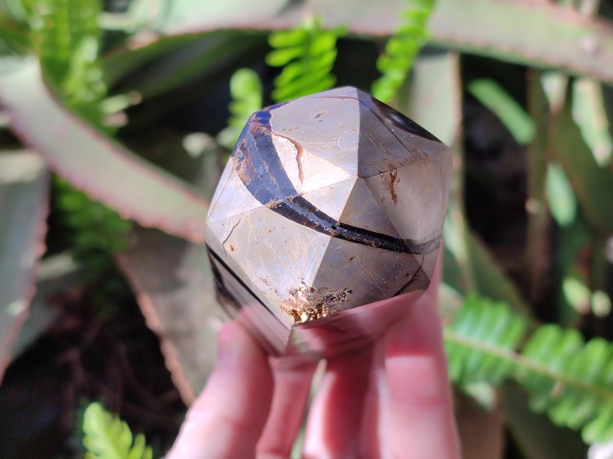Polished and Natural Septerye Sauvage Display Crystals x 4 From Mahajanga, Madagascar - Toprock Gemstones and Minerals 