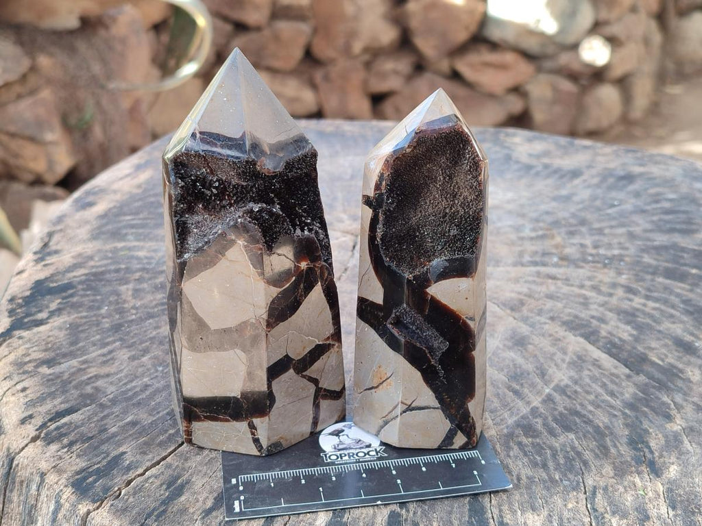 Polished and Natural Septerye Sauvage Display Crystals x 4 From Mahajanga, Madagascar - Toprock Gemstones and Minerals 