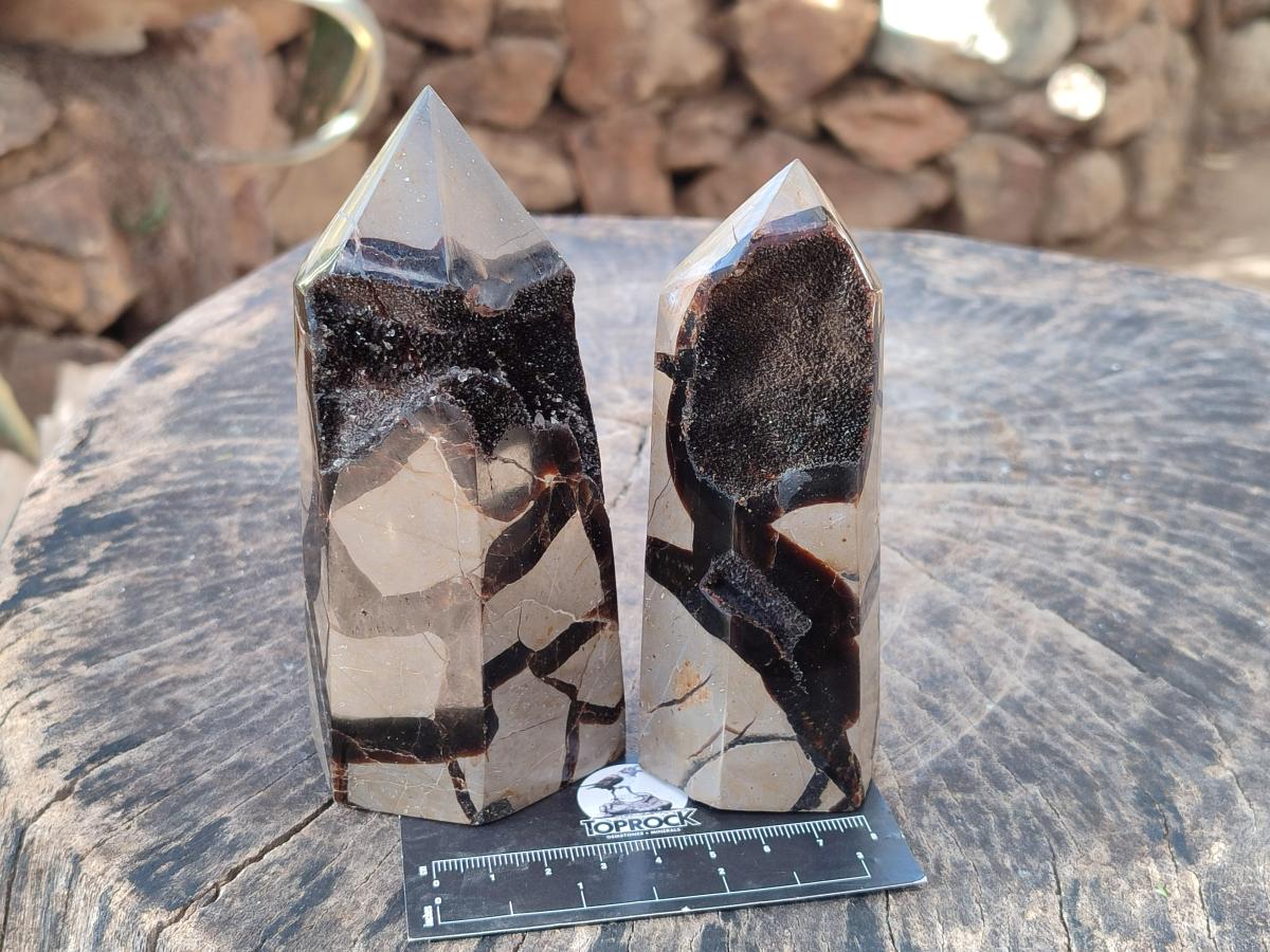 Polished and Natural Septerye Sauvage Display Crystals x 4 From Mahajanga, Madagascar - Toprock Gemstones and Minerals 
