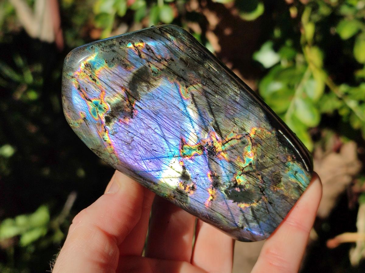 Polished Spectrolite Labradorite Standing Display Pieces x 6 From Madagascar - Toprock Gemstones and Minerals 