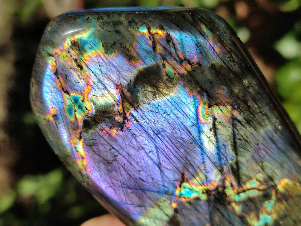 Polished Spectrolite Labradorite Standing Display Pieces x 6 From Madagascar - Toprock Gemstones and Minerals 