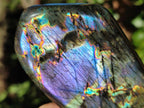 Polished Spectrolite Labradorite Standing Display Pieces x 6 From Madagascar - Toprock Gemstones and Minerals 