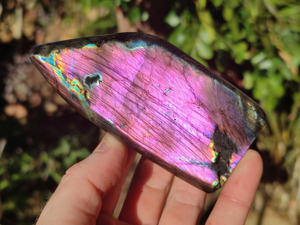 Polished Spectrolite Labradorite Standing Display Pieces x 6 From Madagascar - Toprock Gemstones and Minerals 