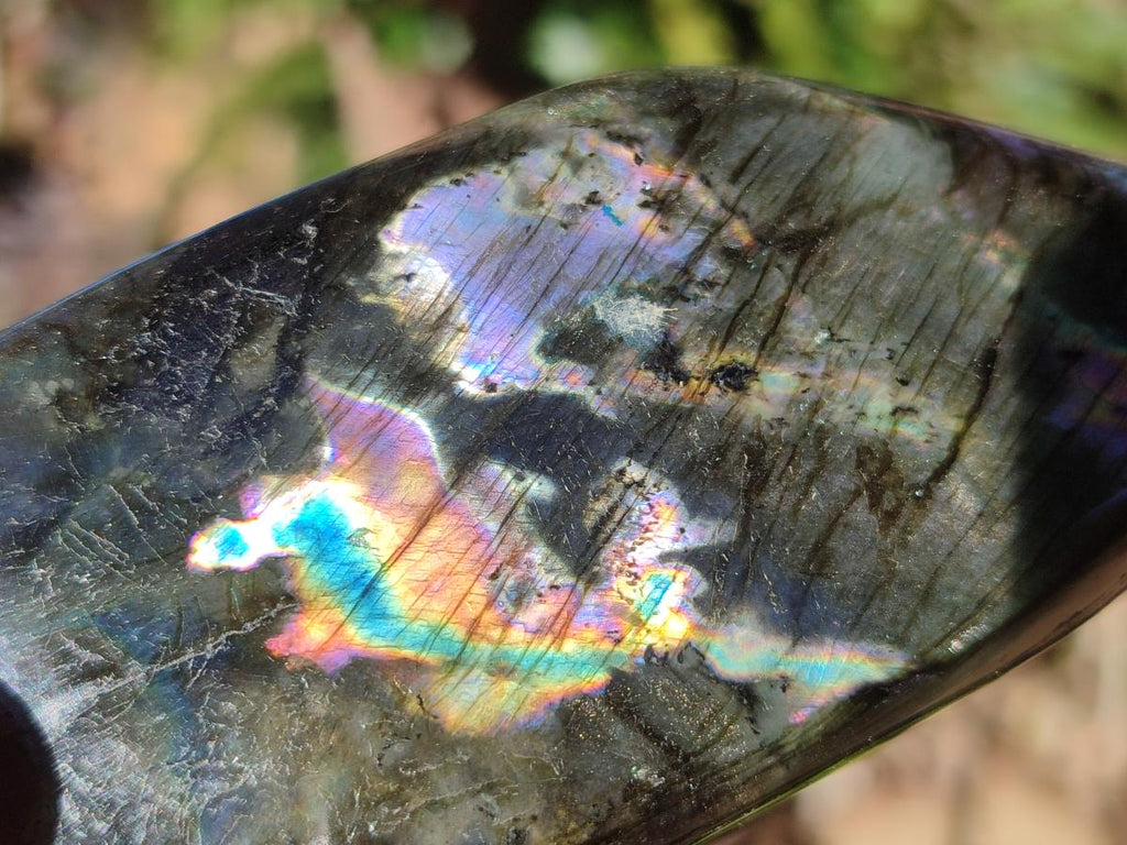 Polished Spectrolite Labradorite Standing Display Pieces x 6 From Madagascar - Toprock Gemstones and Minerals 