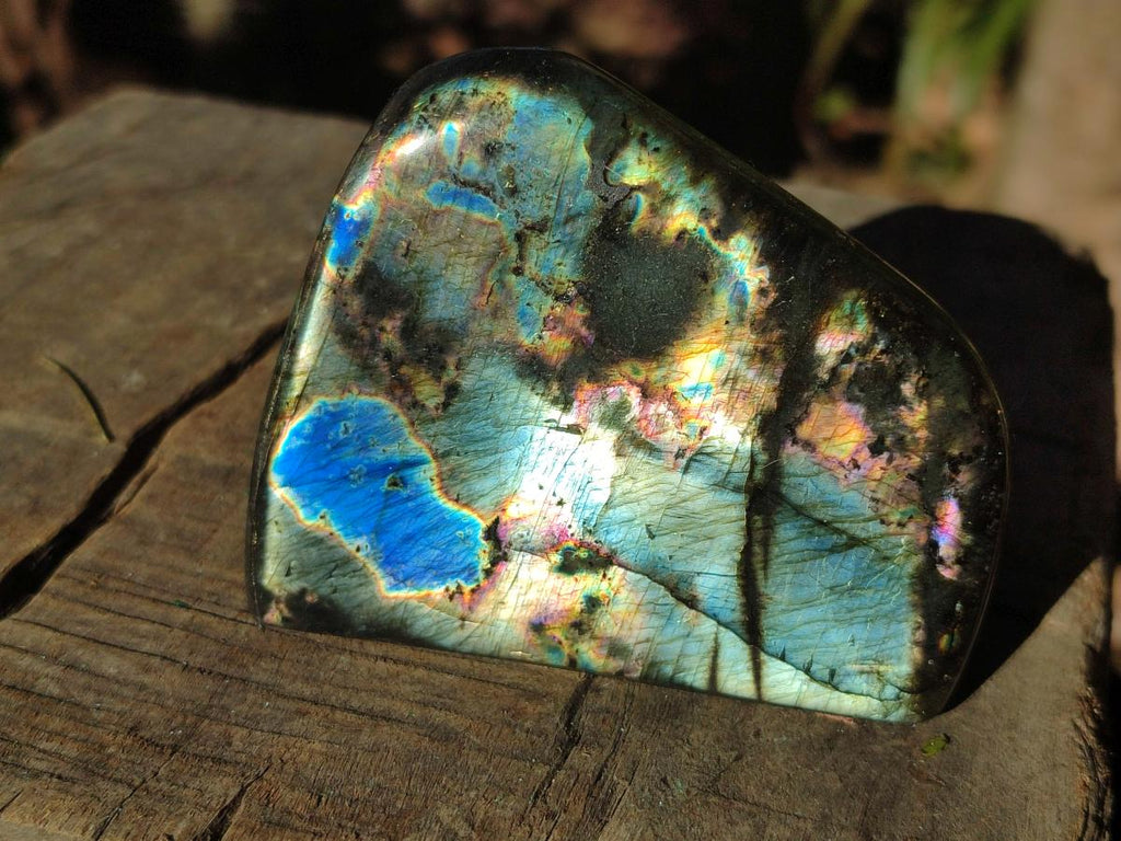 Polished Spectrolite Labradorite Standing Display Pieces x 6 From Madagascar - Toprock Gemstones and Minerals 