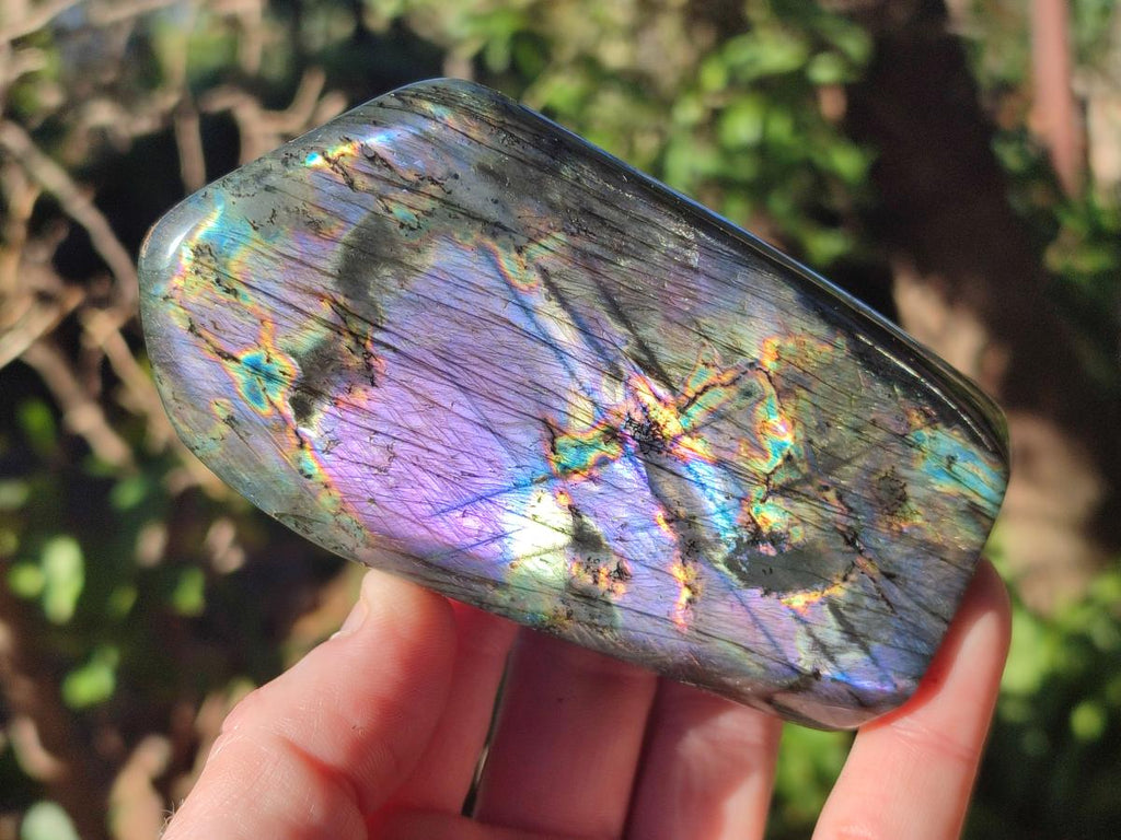 Polished Spectrolite Labradorite Standing Display Pieces x 6 From Madagascar - Toprock Gemstones and Minerals 