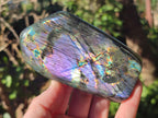 Polished Spectrolite Labradorite Standing Display Pieces x 6 From Madagascar - Toprock Gemstones and Minerals 