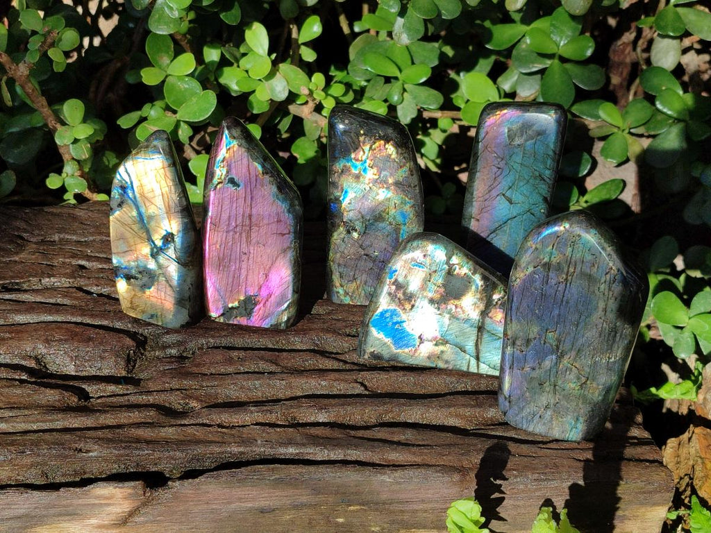 Polished Spectrolite Labradorite Standing Display Pieces x 6 From Madagascar - Toprock Gemstones and Minerals 