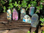 Polished Spectrolite Labradorite Standing Display Pieces x 6 From Madagascar - Toprock Gemstones and Minerals 