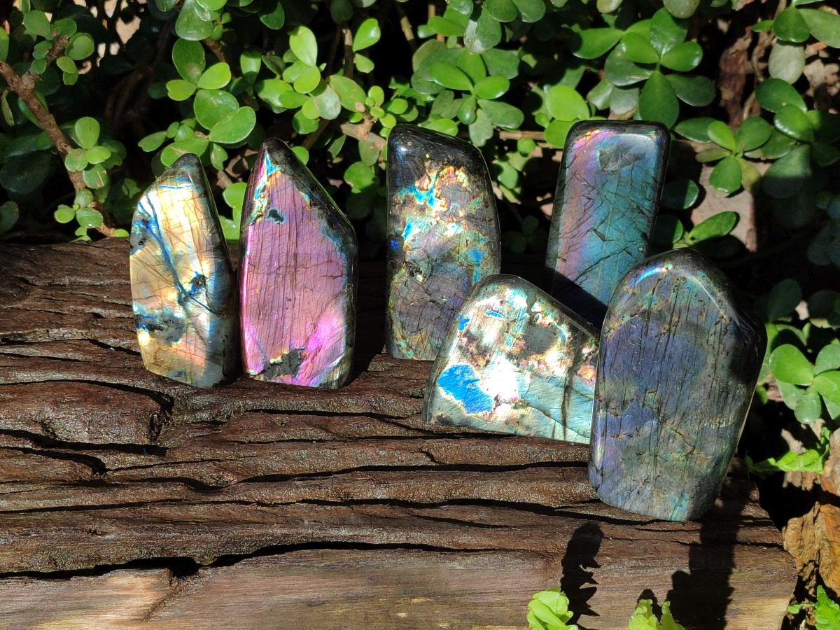 Polished Spectrolite Labradorite Standing Display Pieces x 6 From Madagascar - Toprock Gemstones and Minerals 
