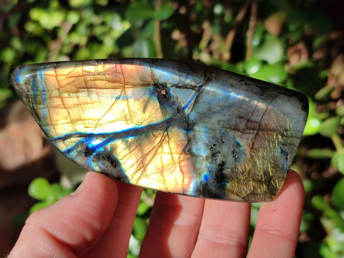 Polished Spectrolite Labradorite Standing Display Pieces x 6 From Madagascar - Toprock Gemstones and Minerals 