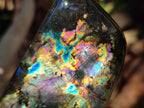 Polished Spectrolite Labradorite Standing Display Pieces x 6 From Madagascar - Toprock Gemstones and Minerals 