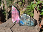 Polished Spectrolite Labradorite Standing Display Pieces x 6 From Madagascar - Toprock Gemstones and Minerals 