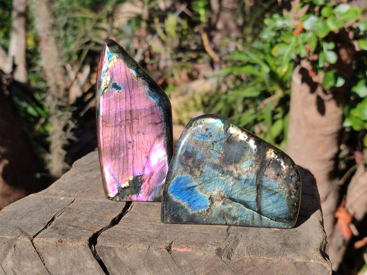 Polished Spectrolite Labradorite Standing Display Pieces x 6 From Madagascar - Toprock Gemstones and Minerals 
