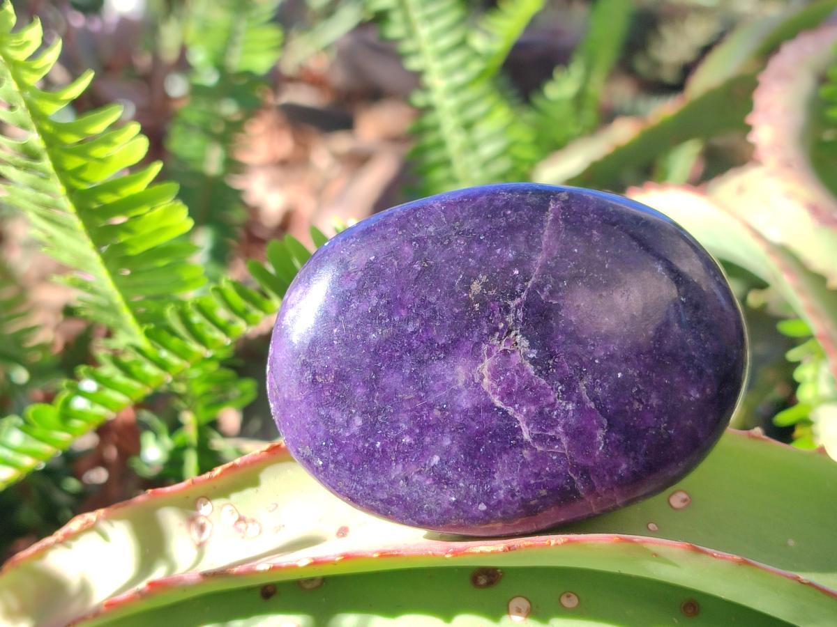 Polished Lepidolite Free Forms x 12 From Zimbabwe - Toprock Gemstones and Minerals 
